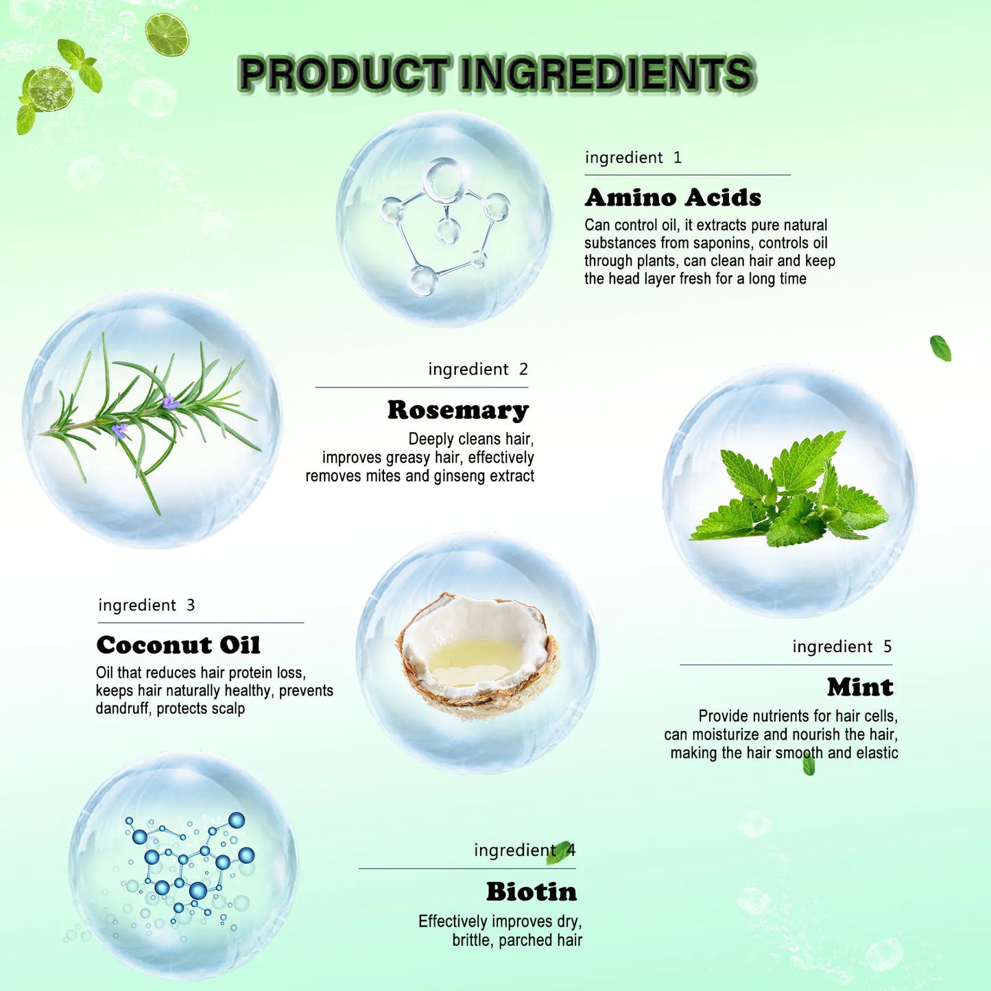 EELHOE Rosemary Mint Shampoo for Dry, Frizzy Hair